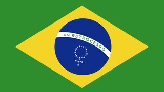 The Fight Against the Growing Dehumanization of Women in Brazil